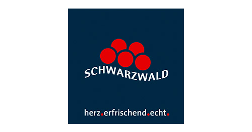 SWT Logo mit Claim RGB